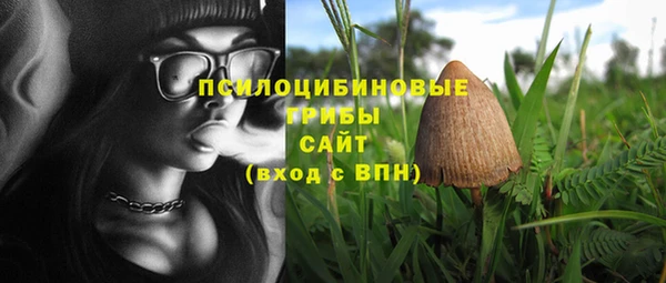 амф Струнино