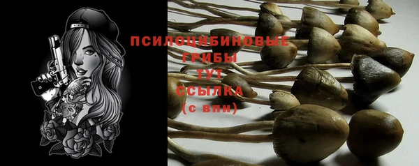 гашик Балахна