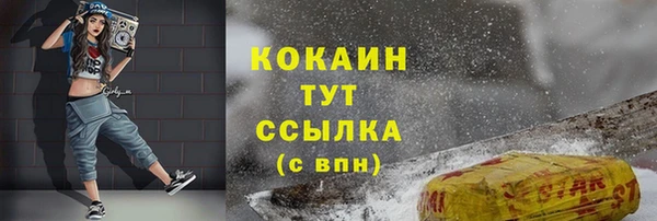 гашик Балахна