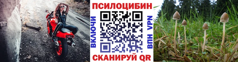 Галлюциногенные грибы GOLDEN TEACHER  Ленск 